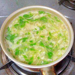 豆苗とキャベツの味噌汁